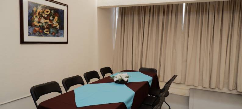 特瓦坎广场酒店(Hotel Tehuacan Plaza)图片