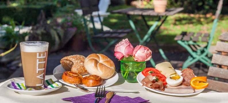 斯维林登酒店(Hotel ZweiLinden Meckenheim Bonn)图片