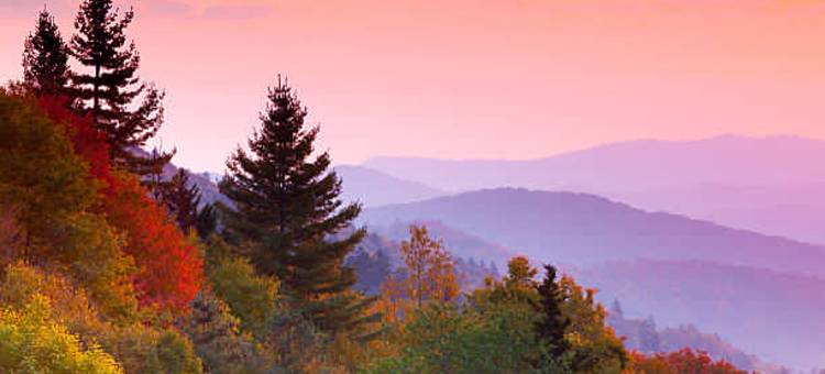 高端豪华小屋 桑拿 热水浴缸 游戏室(Round Top Way Cabin by Beyond Expectations)图片