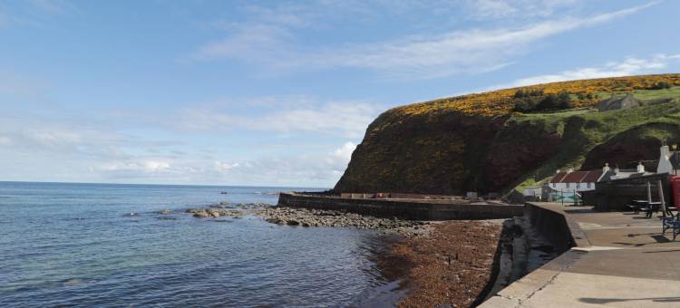 劳雷尔斯(The Laurels)图片