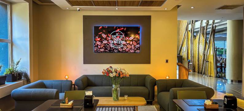 埃科酒店(Ecohotel Talca)图片