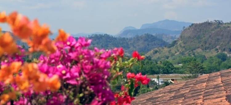 蓝鬣蜥青年旅社(Hostel Iguana Azul)图片