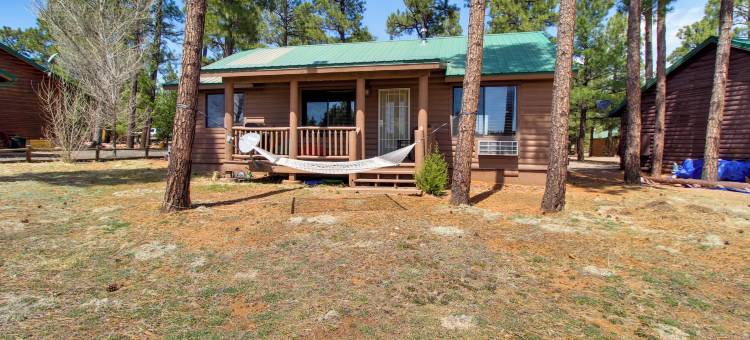 距锡特格雷夫斯16英里：欧弗加德小屋带门廊(Families Welcome! Overgaard Cabin with Playground)图片