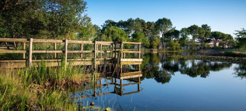奥达利斯小桥公寓酒店(Odalys Le Petit Pont Residence)图片