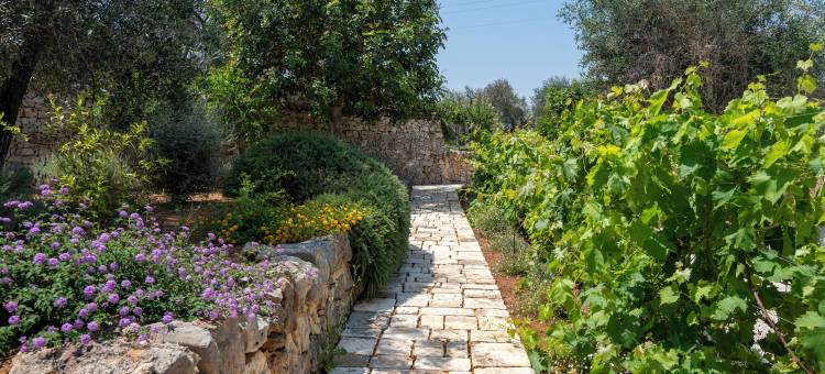 贝尔蒙特特鲁利 - 永恒奢华的圣地(Belmont Trulli – A Sanctuary of Timeless Luxury)图片
