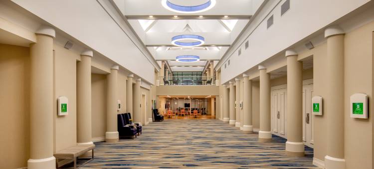纽波特纽斯-汉普顿假日酒店(Holiday Inn NEWPORT NEWS - HAMPTON by IHG)图片