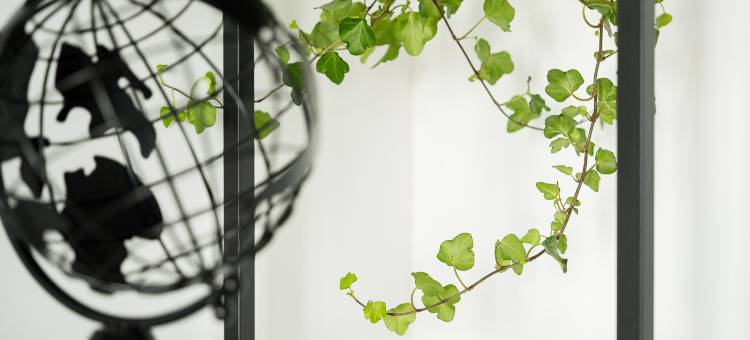 GuestReady - Serene Stay in Porto图片