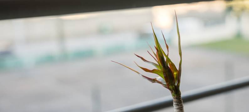 GuestReady - Refúgio relaxante perto do Porto图片