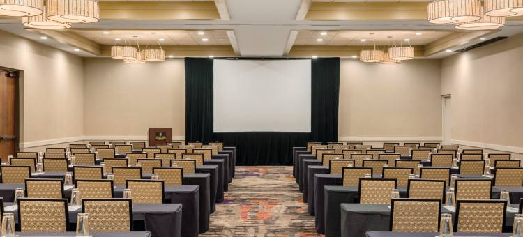 奥兰多国际大道地标公园希尔顿安泊酒店(Embassy Suites by Hilton Orlando International Drive ICON Park)图片