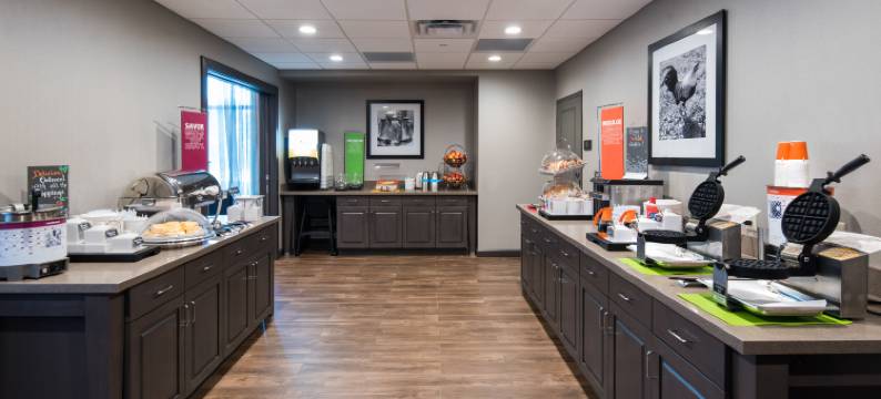 威斯康星德尔斯戴尔顿湖欢朋套房酒店(Hampton Inn & Suites Wisconsin Dells Lake Delton)图片