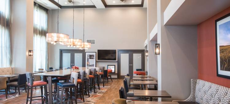 威斯康星德尔斯戴尔顿湖欢朋套房酒店(Hampton Inn & Suites Wisconsin Dells Lake Delton)图片