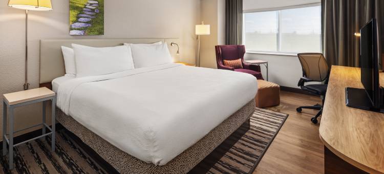 美国希尔顿花园酒店明尼阿波利斯机场购物中心(Hilton Garden Inn Minneapolis Airport Mall of America)图片