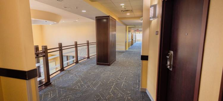 特洛伊-I75舒适套房酒店(Comfort Suites Troy-I75)图片