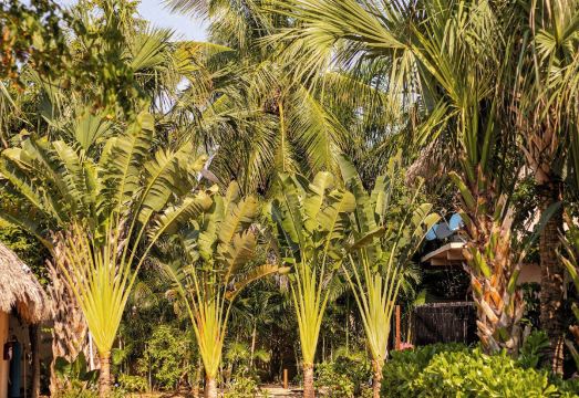 Casa Lu Hotel Boutique Hotel Overview