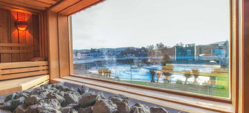 巴德组尔萨克公园酒店(Dorint Parkhotel Bad Zurzach)图片