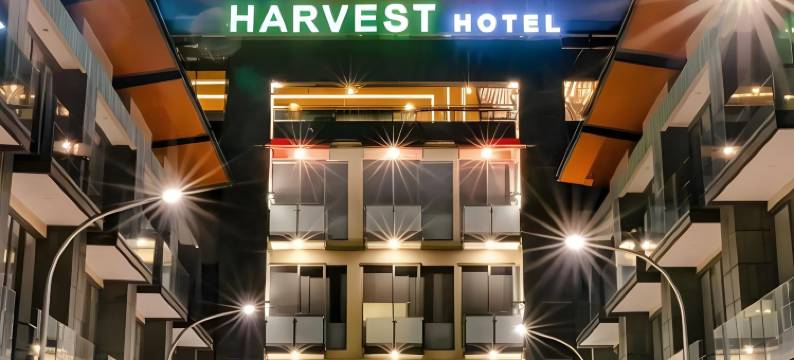 沃诺索博前一丰收酒店(Front One Harvest Hotel Wonosobo)图片