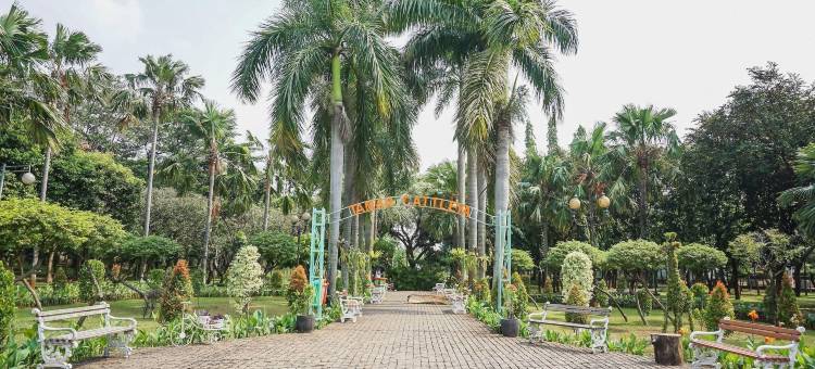 旗舰101苹果白金(Flagship 101 Apple Platinum)图片