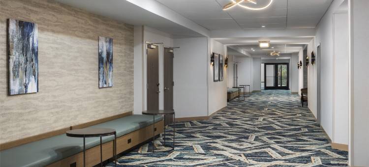 威尔明顿希尔顿逸林酒店(DoubleTree by Hilton Wilmington)图片