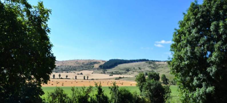 Gte de France 5 People图片