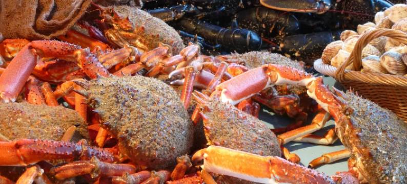 Apartment in Fécamp near Cap Fagnet Cliffs图片