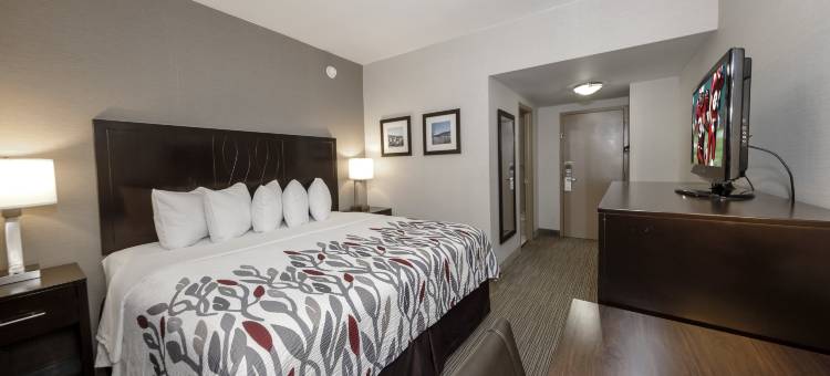 红屋顶酒店及套房纽堡 - 斯图尔特机场/西点(Red Roof Inn & Suites Newburgh - Stewart Airport/ West Point)图片