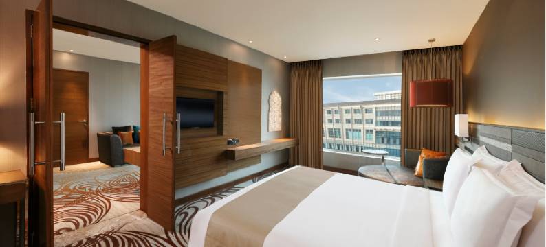 齐普尔市中心假日酒店(Holiday Inn JAIPUR CITY CENTRE by IHG)图片