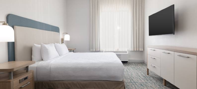 汉诺威阿伦德尔米尔斯BWI机场Homewood Suites by Hilton(Homewood Suites by Hilton Hanover Arundel Mills BWI Airport)图片