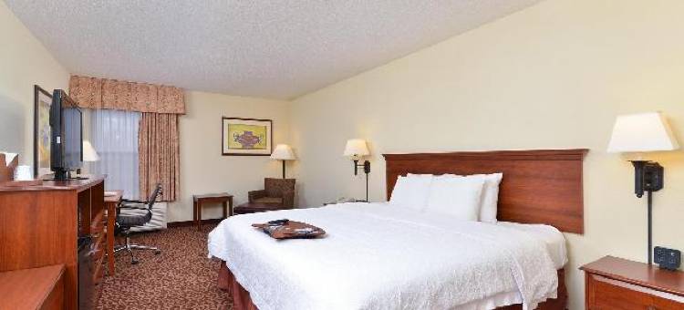 希尔顿欢朋酒店-伊格尔帕斯(Hampton Inn Eagle Pass)图片