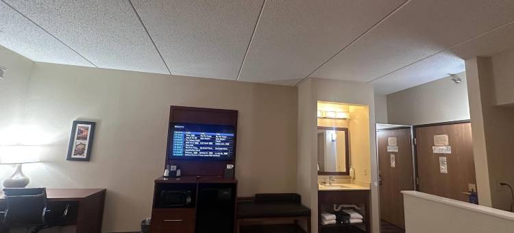 匹兹堡/西米夫林蔚景温德姆酒店(Wingate by Wyndham Pittsburgh/West Mifflin)图片