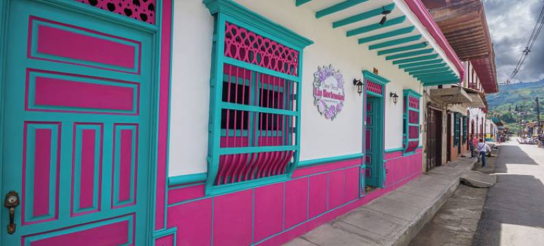 拉斯霍达西亚家庭旅馆(Casa Hotel Las Hortensias)图片