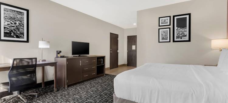 舒适套房酒店(Comfort Inn & Suites)图片