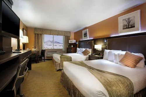 Prospector Hotel & Gambling Hall - 宠物友好