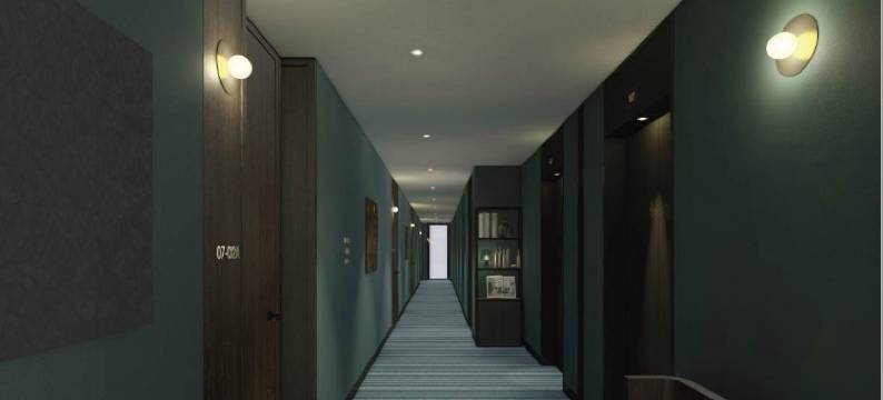 FAV LUX飞驒高山(Fav Lux Hida Takayama)图片