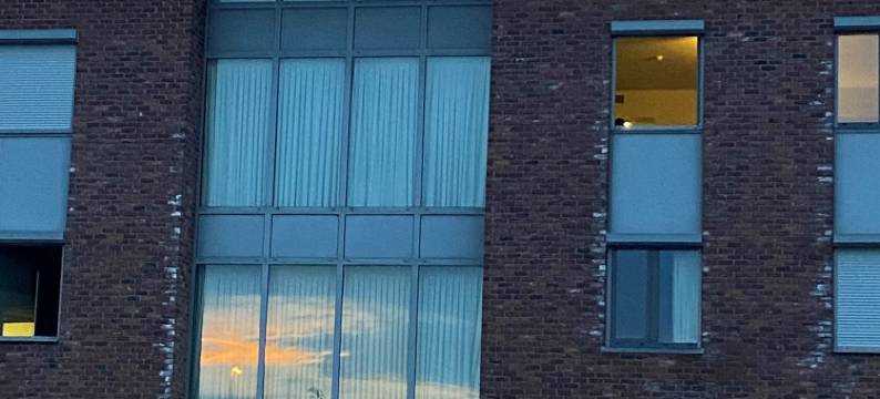 兰花酒店(Hotel Orchidee)图片