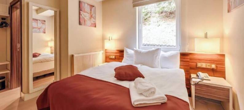 施瓦茨巴赫塔尔双人房森林山景(Schwarzbachtal Double Room Forest Mountain View)图片