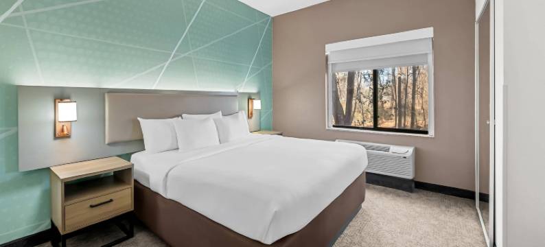 舒适套房酒店(Comfort Suites)图片