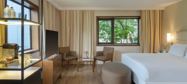 NH科迪勒拉酒店(NH Mendoza Cordillera)图片