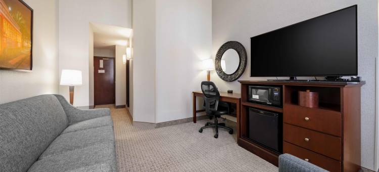 新奥尔良德鲁里广场酒店(Drury Plaza Hotel New Orleans)图片
