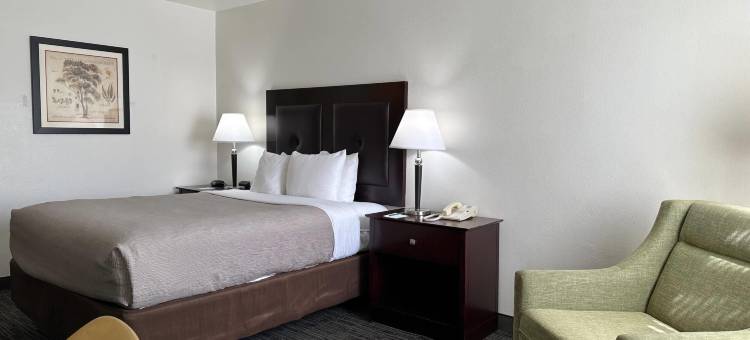 埃弗里特凯艺套房酒店(Quality Inn & Suites Everett)图片