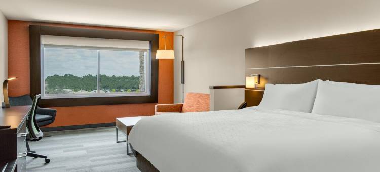 桑福德-玛丽湖智选假日套房酒店(洲际旗下)(Holiday Inn Express & Suites SANFORD- LAKE MARY by IHG)图片