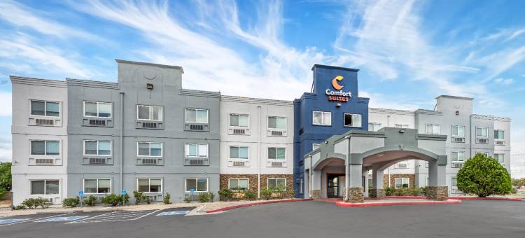 阿尔伯克基北气球嘉年华公园舒适套房酒店(Comfort Suites Albuquerque-North Journal Center)图片