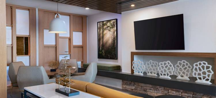 哈灵根万枫酒店及套房(Fairfield Inn & Suites Harlingen)图片