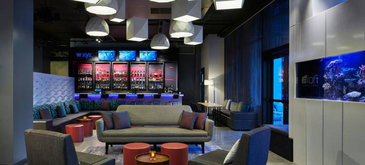 迈阿密阿文图拉雅乐轩酒店(Aloft Miami Aventura)图片