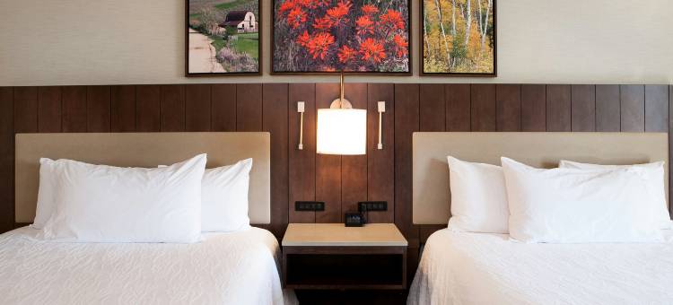 博伊西- 鹰君希尔顿花园酒店(Hilton Garden Inn Boise/Eagle)图片