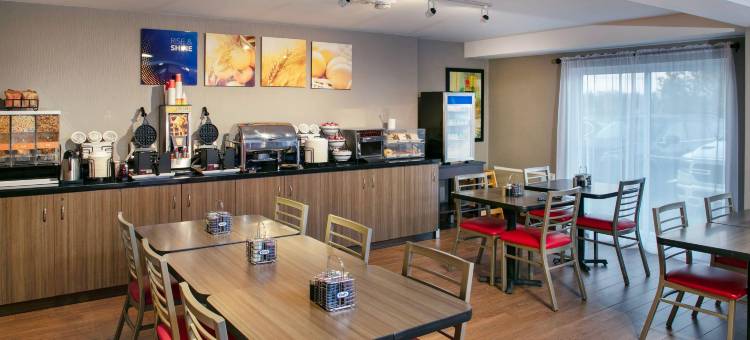 舒适酒店(Comfort Inn)图片