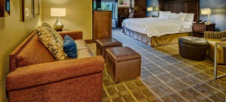 诺克罗斯-桃树角欢朋酒店(Hampton Inn Peachtree Corners/Norcross)图片