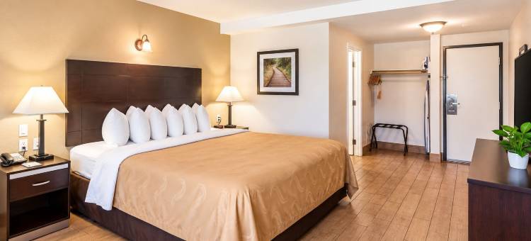 贝克斯菲尔德市区附近凯艺套房酒店(Quality Inn & Suites Near Downtown Bakersfield)图片