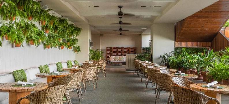 夏威夷·火奴鲁鲁现代希尔顿分时度假俱乐部酒店(Hilton Vacation Club The Modern Honolulu)图片