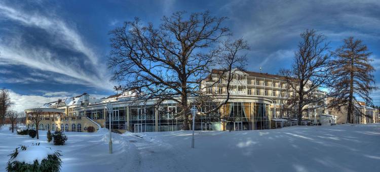 巴特沃里斯霍芬太阳庭院施柏阁酒店(Steigenberger Hotel Der Sonnenhof)图片