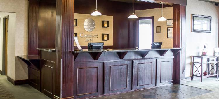 凯艺酒店(Quality Inn)图片